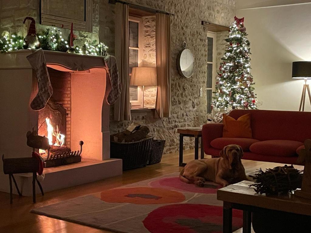 Uniquely Private Holiday Villa In The Charente Puyreaux Zewnętrze zdjęcie