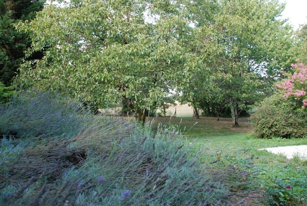Uniquely Private Holiday Villa In The Charente Puyreaux Zewnętrze zdjęcie